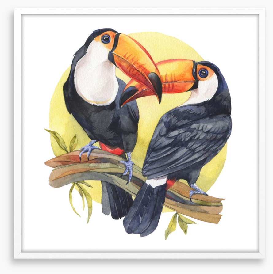 Toucan sun