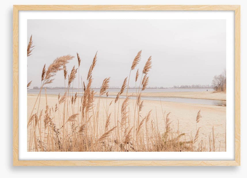 Pampas sands