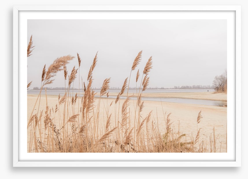 Pampas sands
