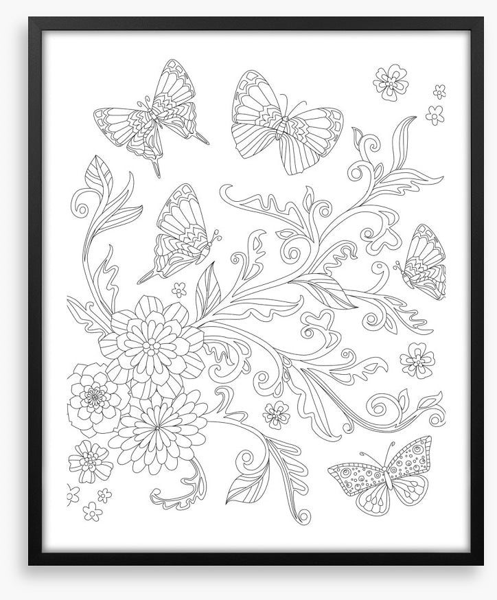 Colour me butterfly bush