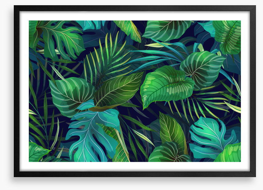 Midnight jungle