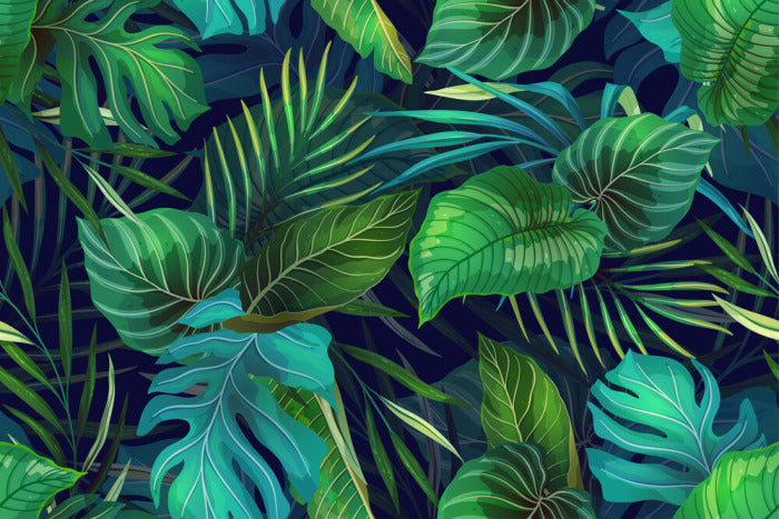 Midnight jungle