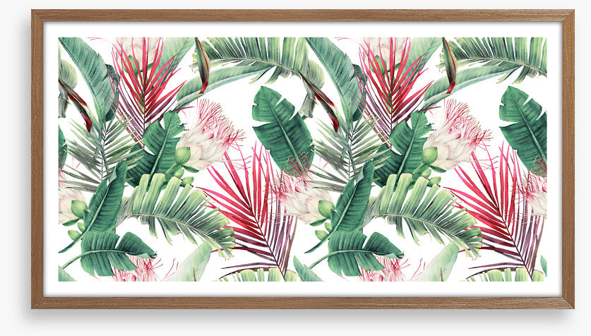 Fuchsia foliage