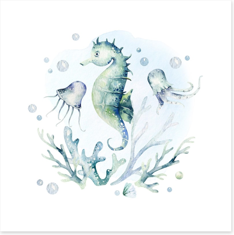 Softly softly seahorse