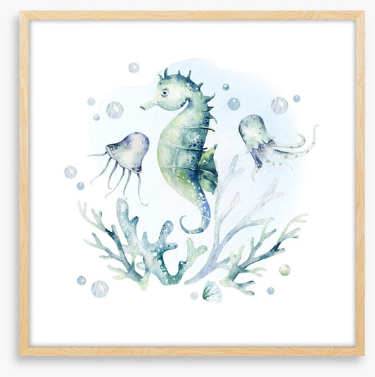 Softly softly seahorse