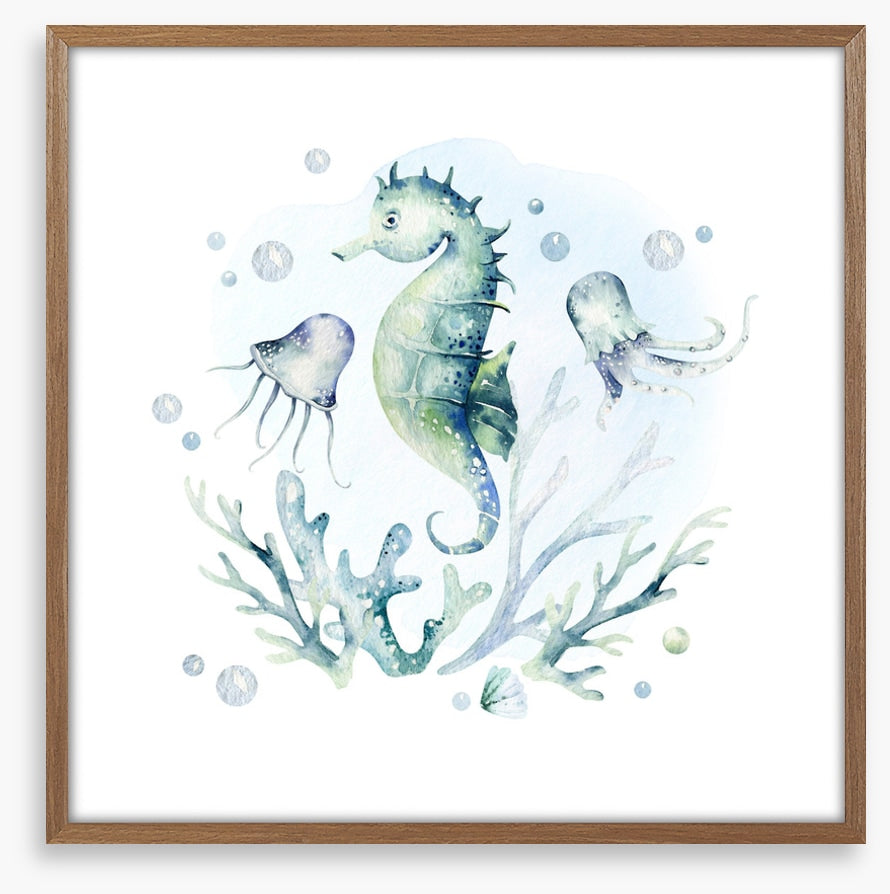 Softly softly seahorse