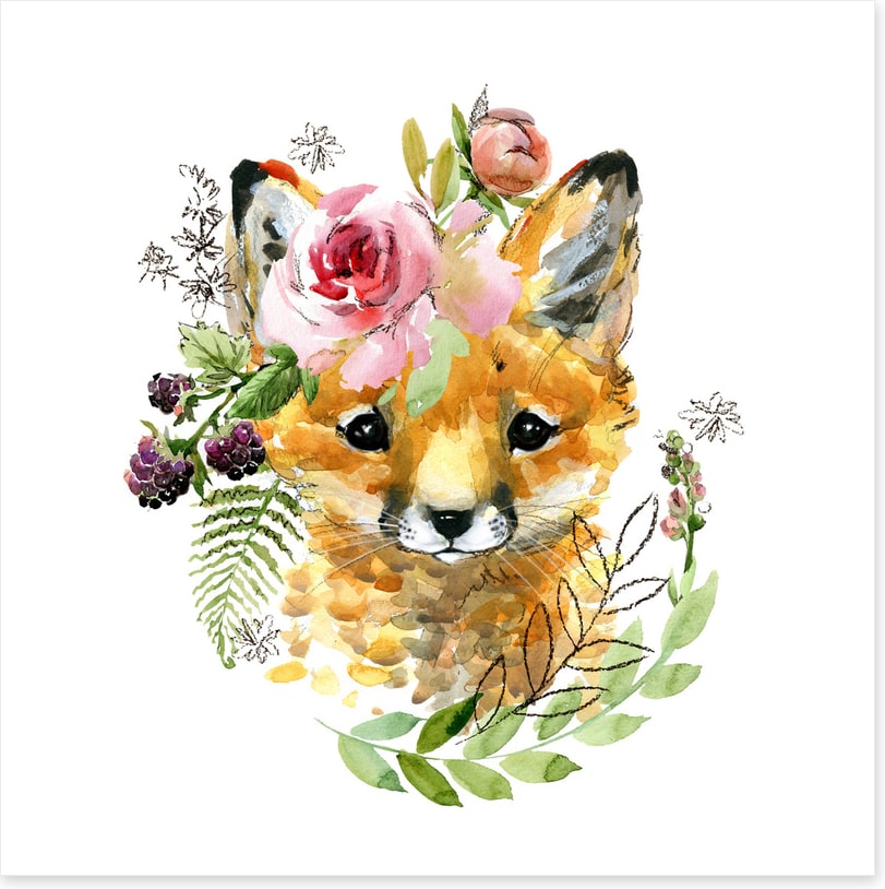 Rosy the fox