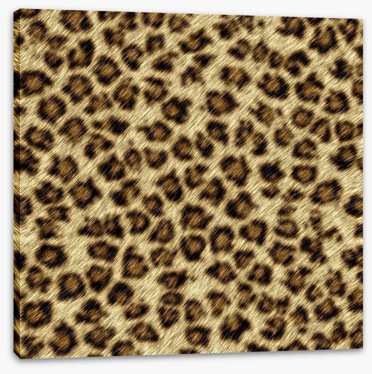 Animal Print