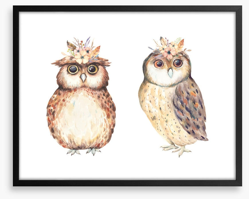 Owls