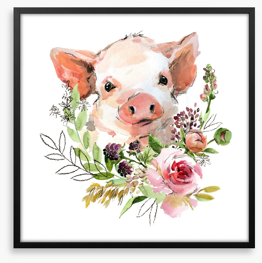 Rosy the pig