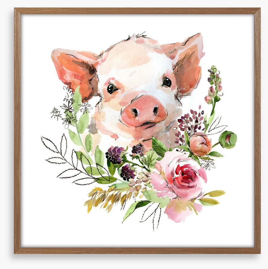 Rosy the pig