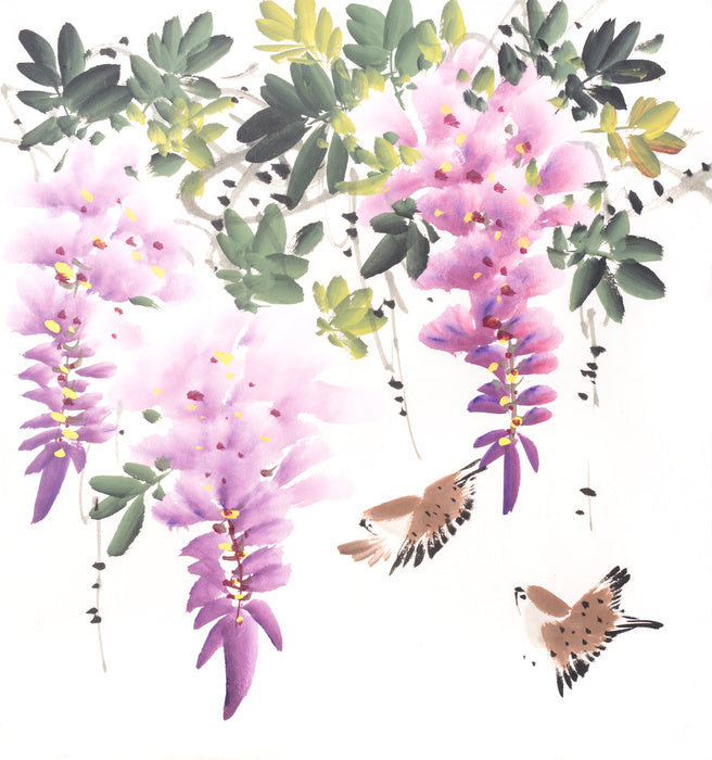 Little wisteria birds