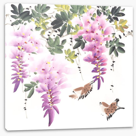 Little wisteria birds
