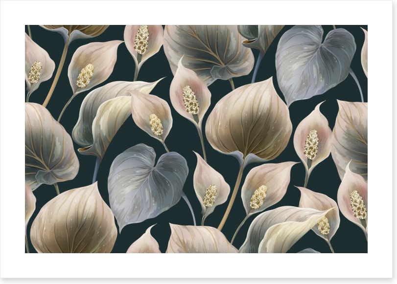 Calla lily moonlight