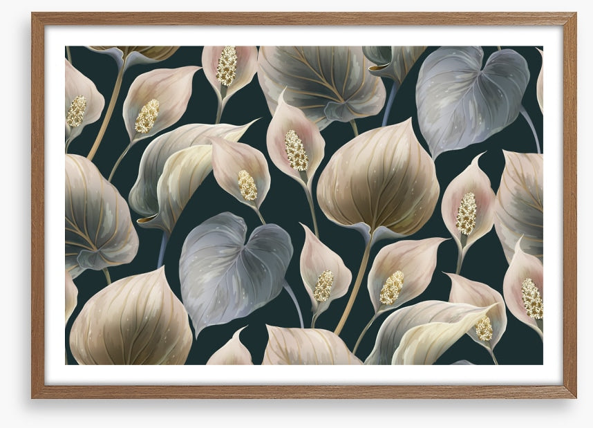 Calla lily moonlight