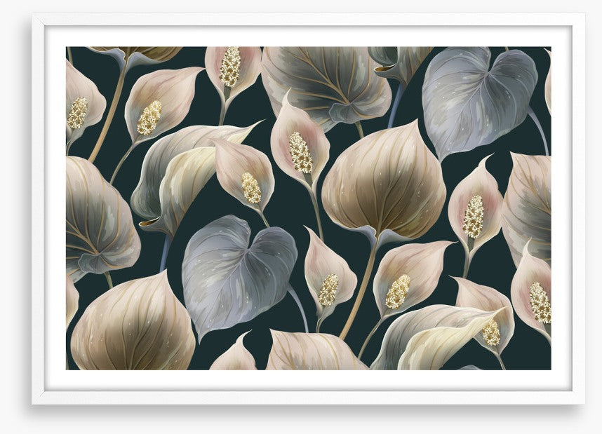 Calla lily moonlight