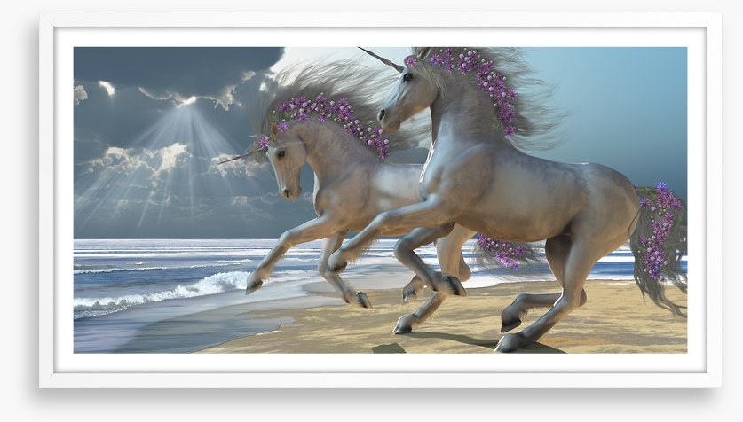 The unicorn beach