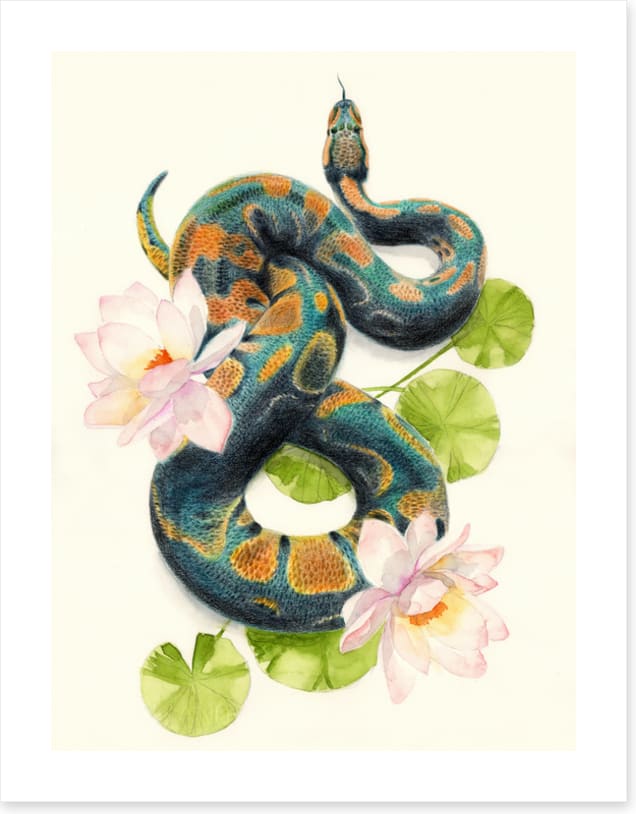 Snake in the lotus