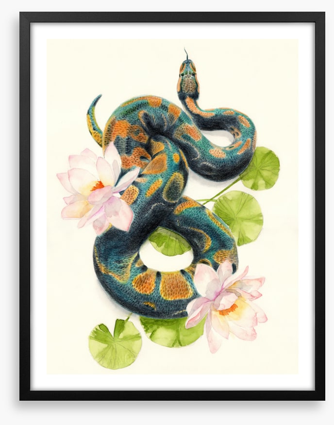 Snake in the lotus