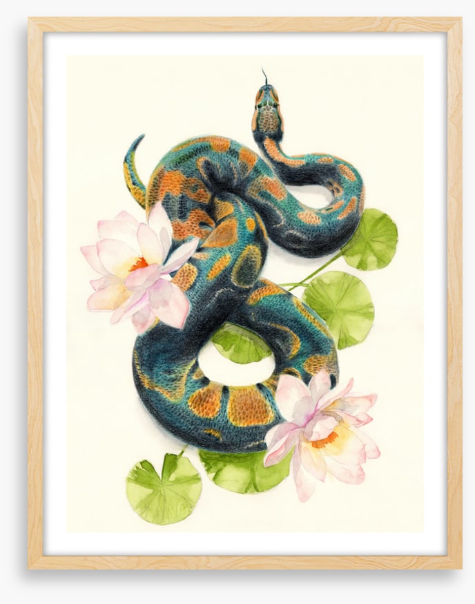 Snake in the lotus