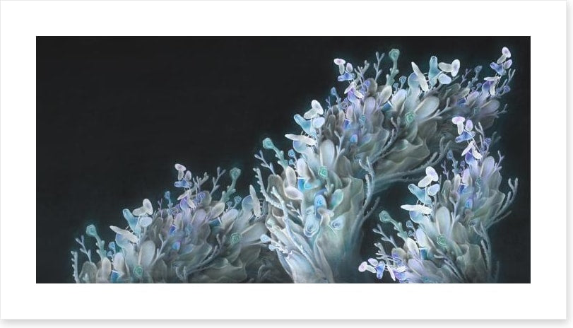 Coral me blue