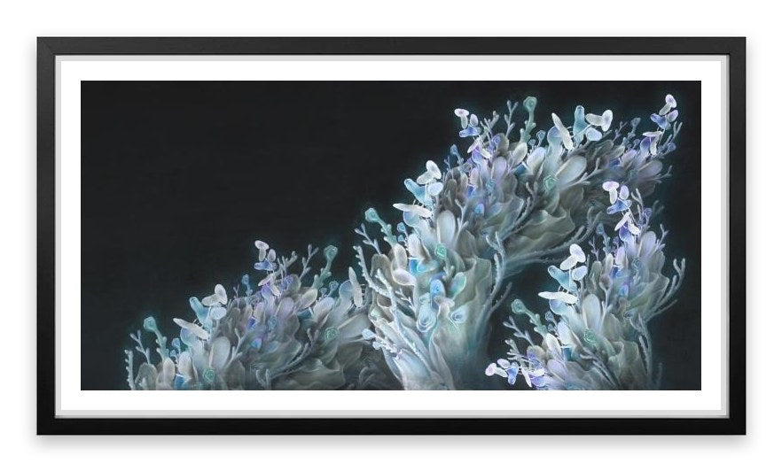 Coral me blue