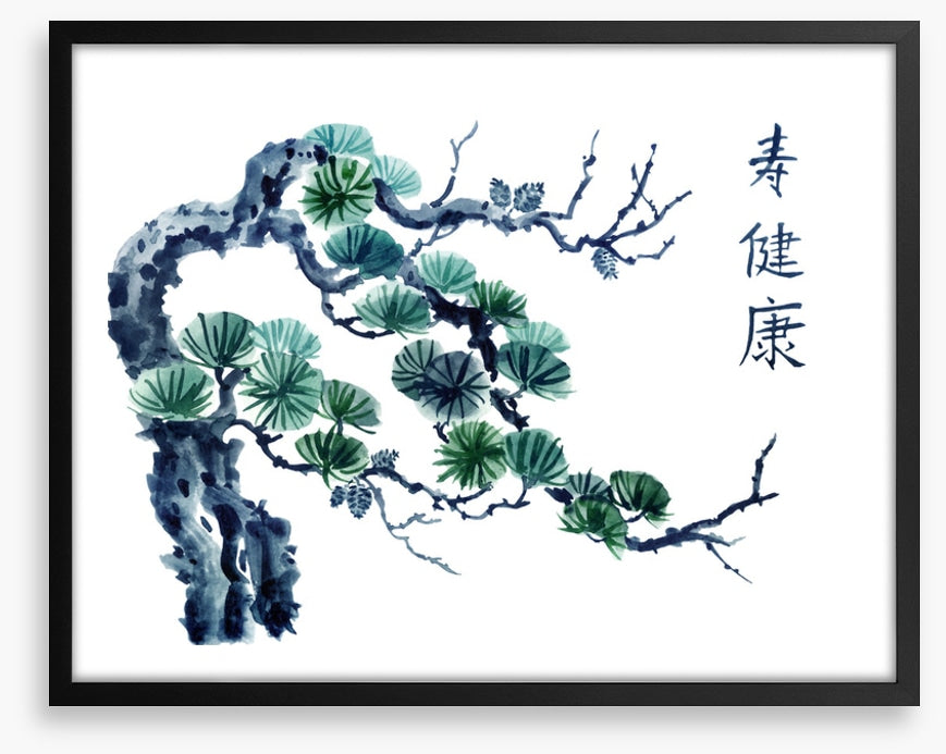 Mountain pine greens