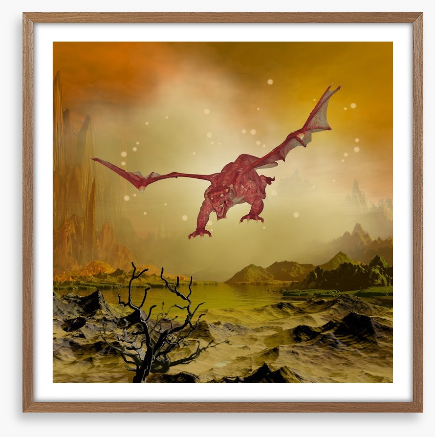 Dragons