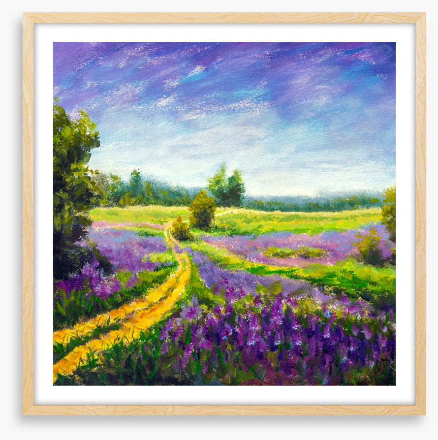 Purple meadow path