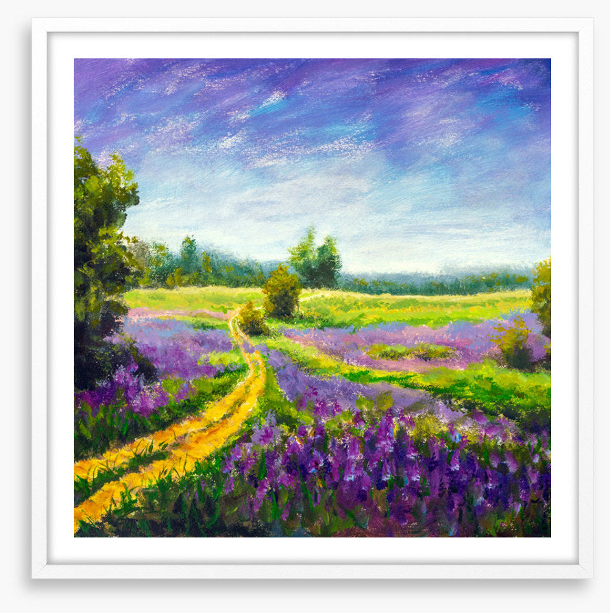 Purple meadow path