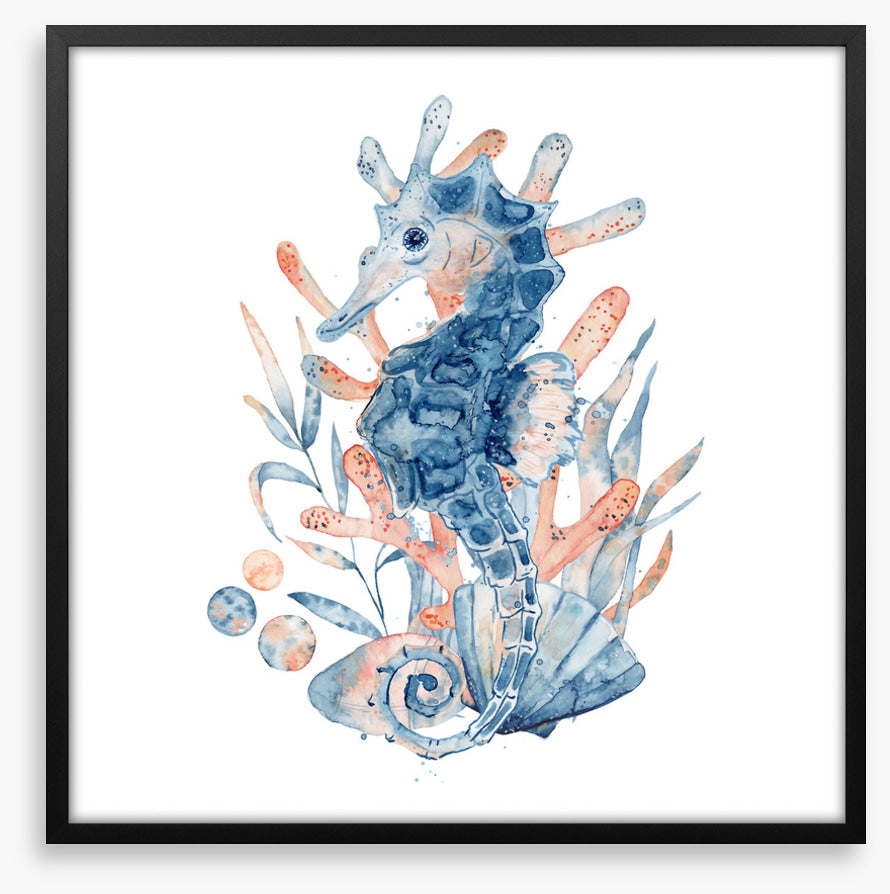 Seahorse blush