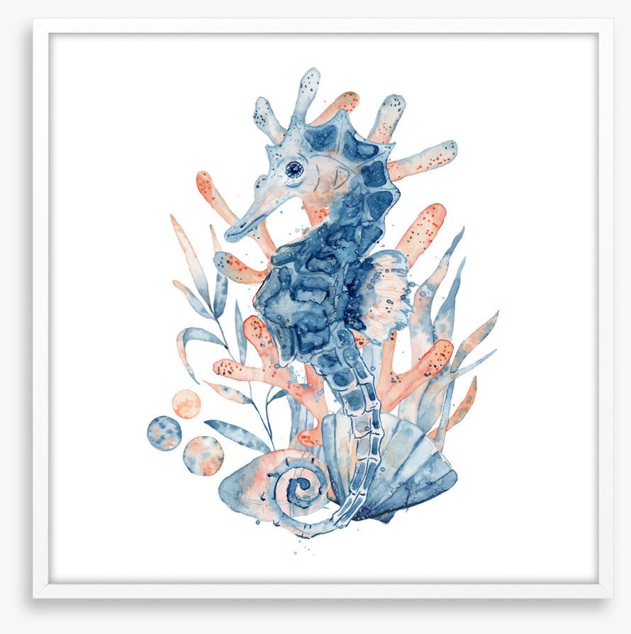 Seahorse blush