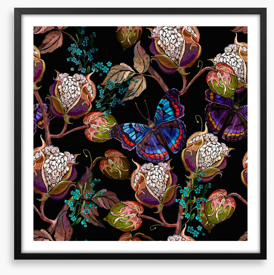 Butterflies