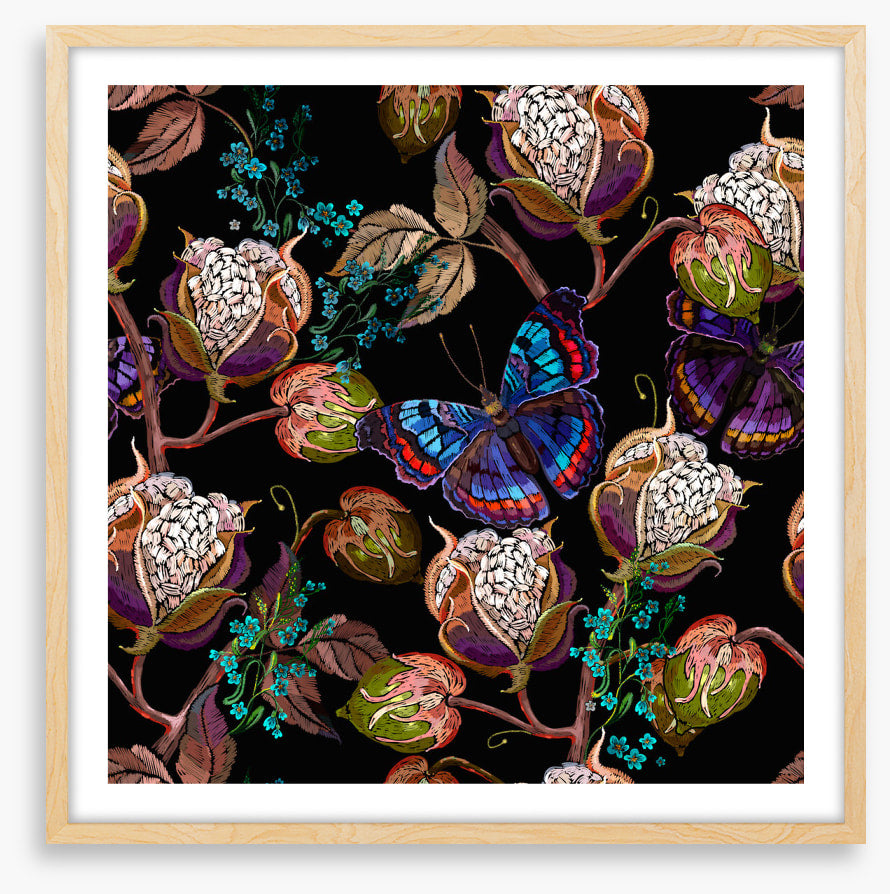 Butterflies