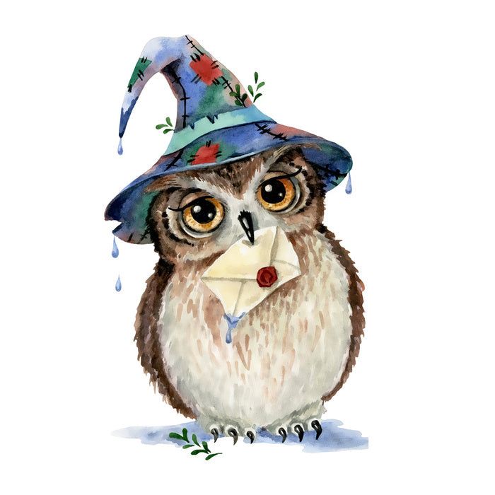 Wizard owl mail