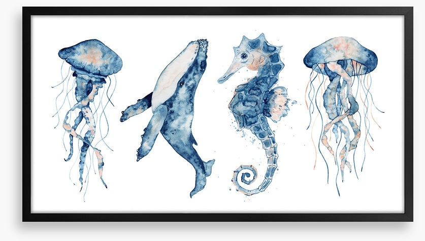 Sea life blush