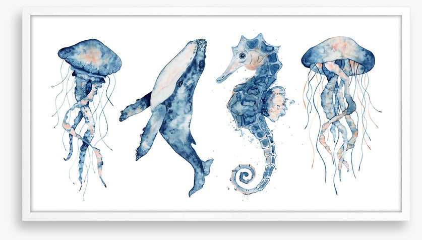 Sea life blush