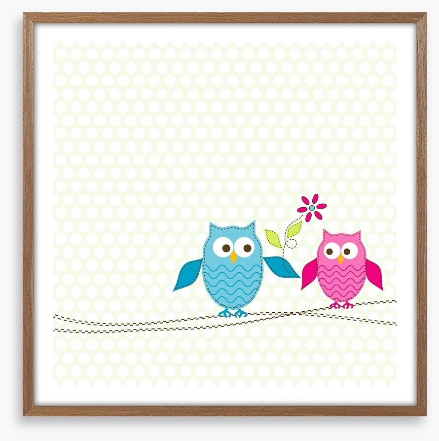 Pink owl in love