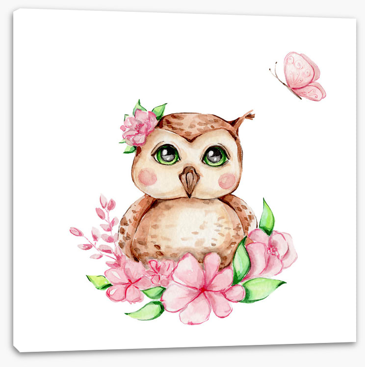Owls