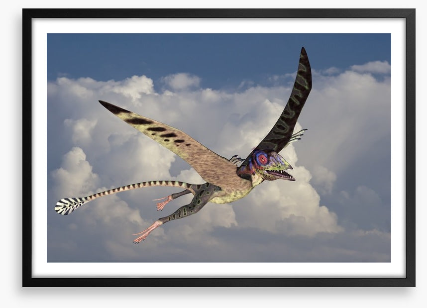 Peteinosaurus flight