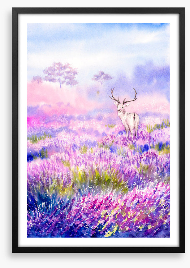 Among the lavender