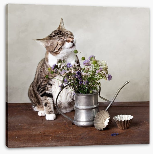 Curiosity tickled the cat