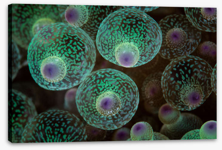 Underwater