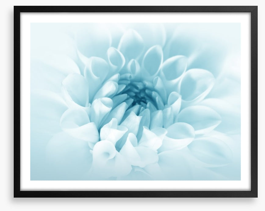 Soft bloom