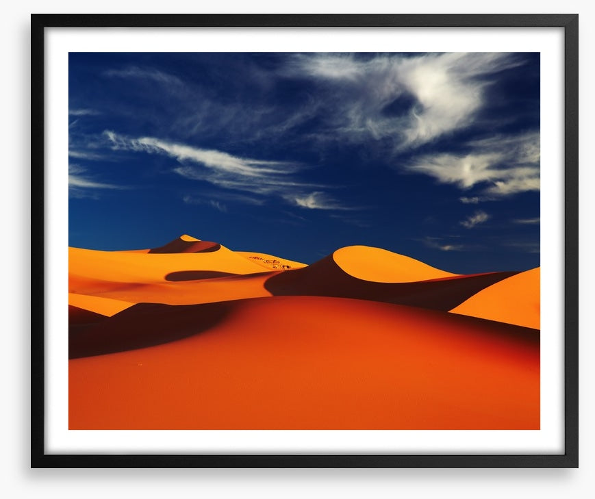 Desert