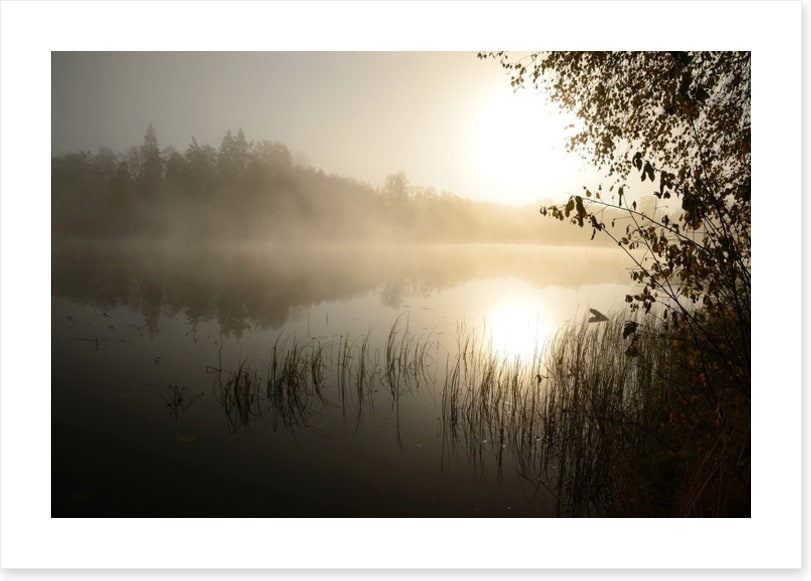 Lakes
