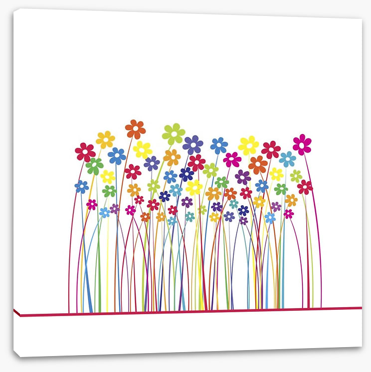 Rainbow flowers