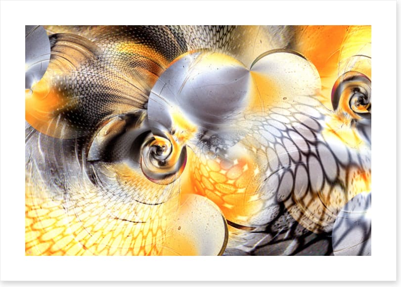 Swirling progression