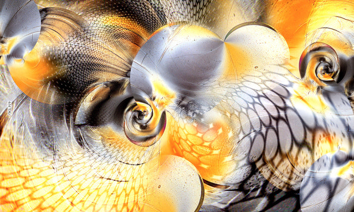 Swirling progression