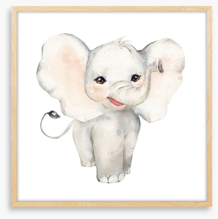 Elephant smiles